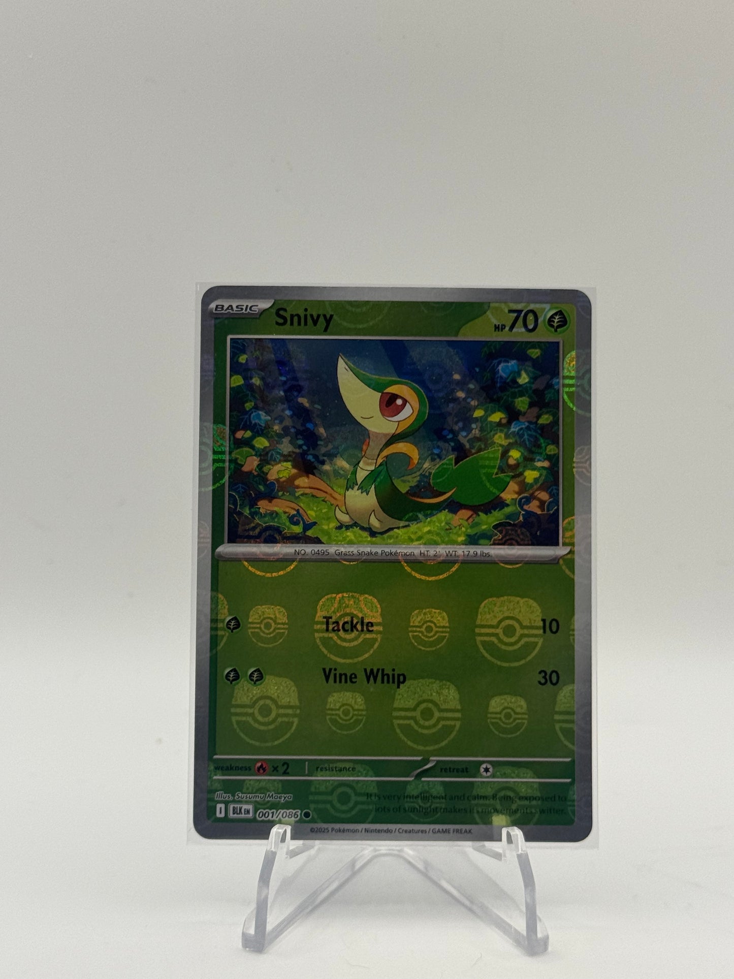 Snivy (Master Ball Pattern) - SV: Black Bolt