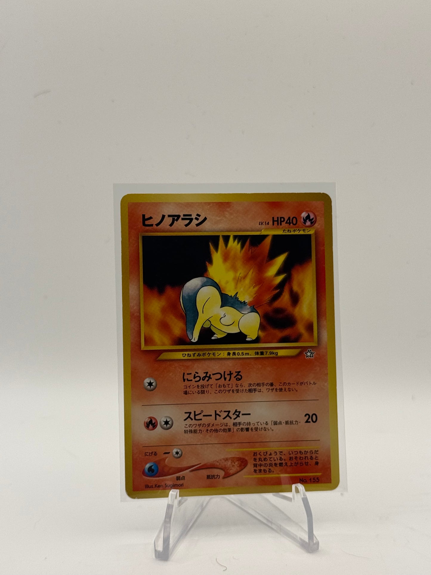 Cyndaquil - Neo Premium File 1 JP